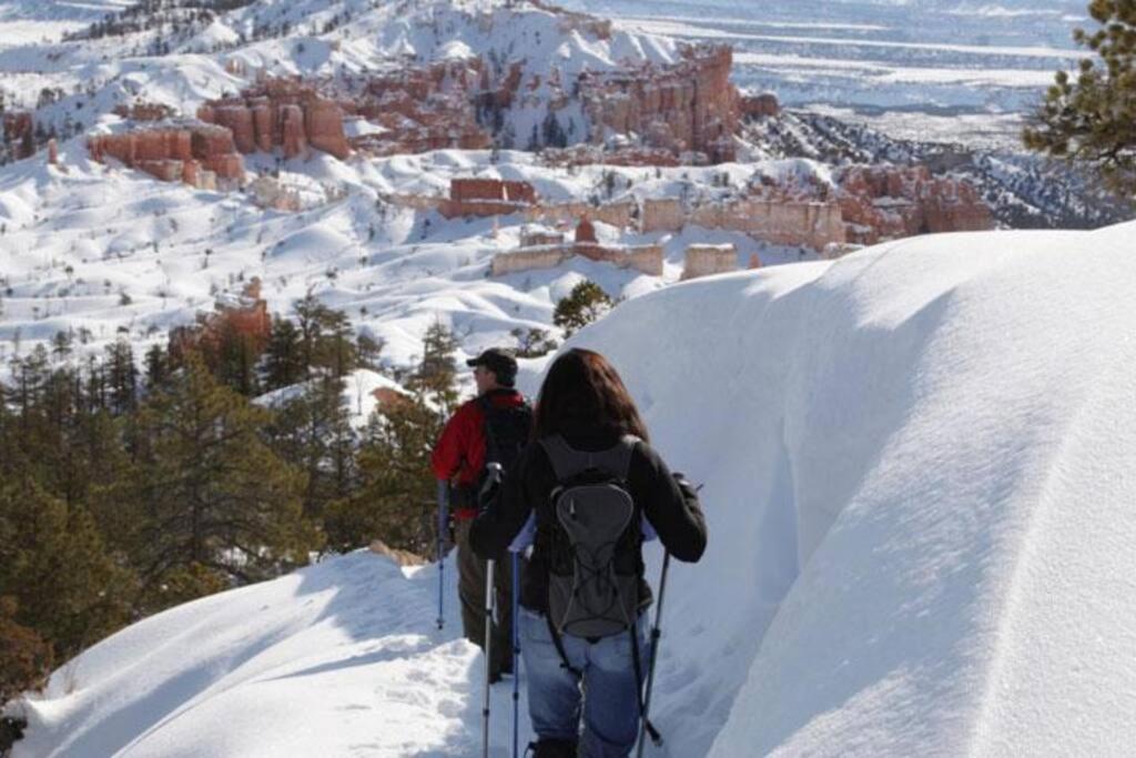 Duck Creek Village Canyon Country Chalet מראה חיצוני תמונה